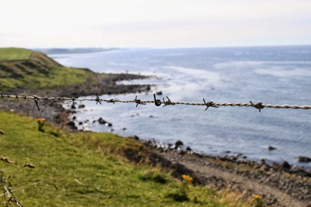 Freedom?  by SpaceUtopian ©