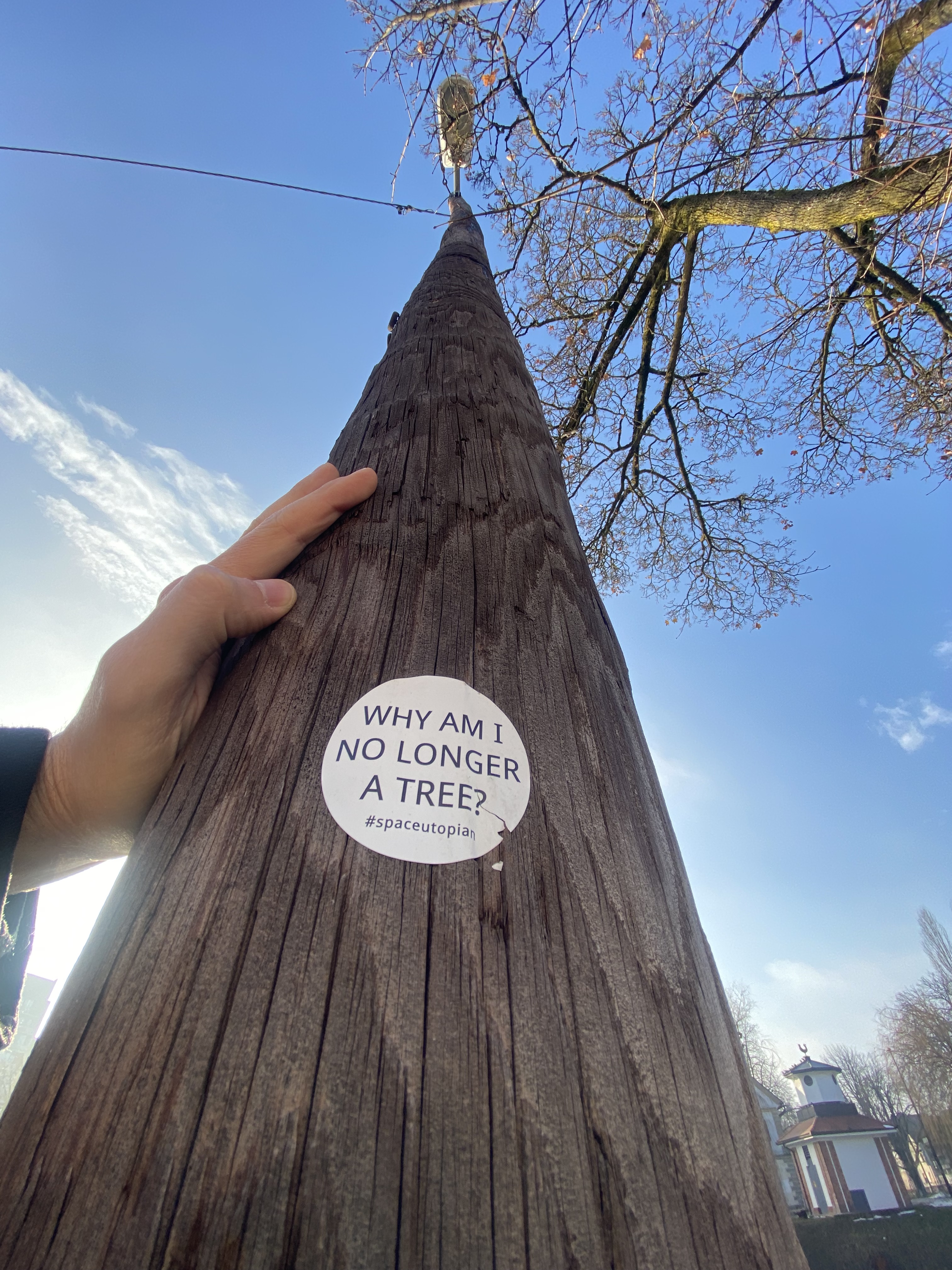 Why am I no longer a tree? Sticker in the streets of Slovenia, 2022 © by @Space_Utopian (Slovenia).