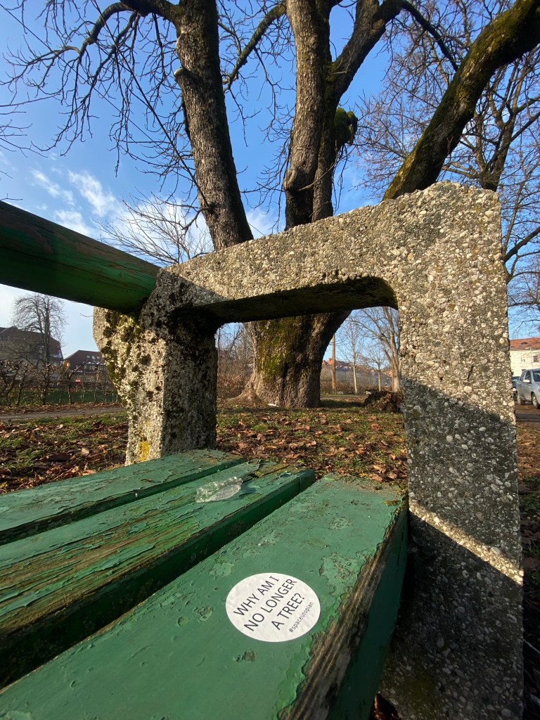 Why am I no longer a tree? Sticker in the streets of Slovenia, 2022 © by @SpaceUtopian (Slovenia).
