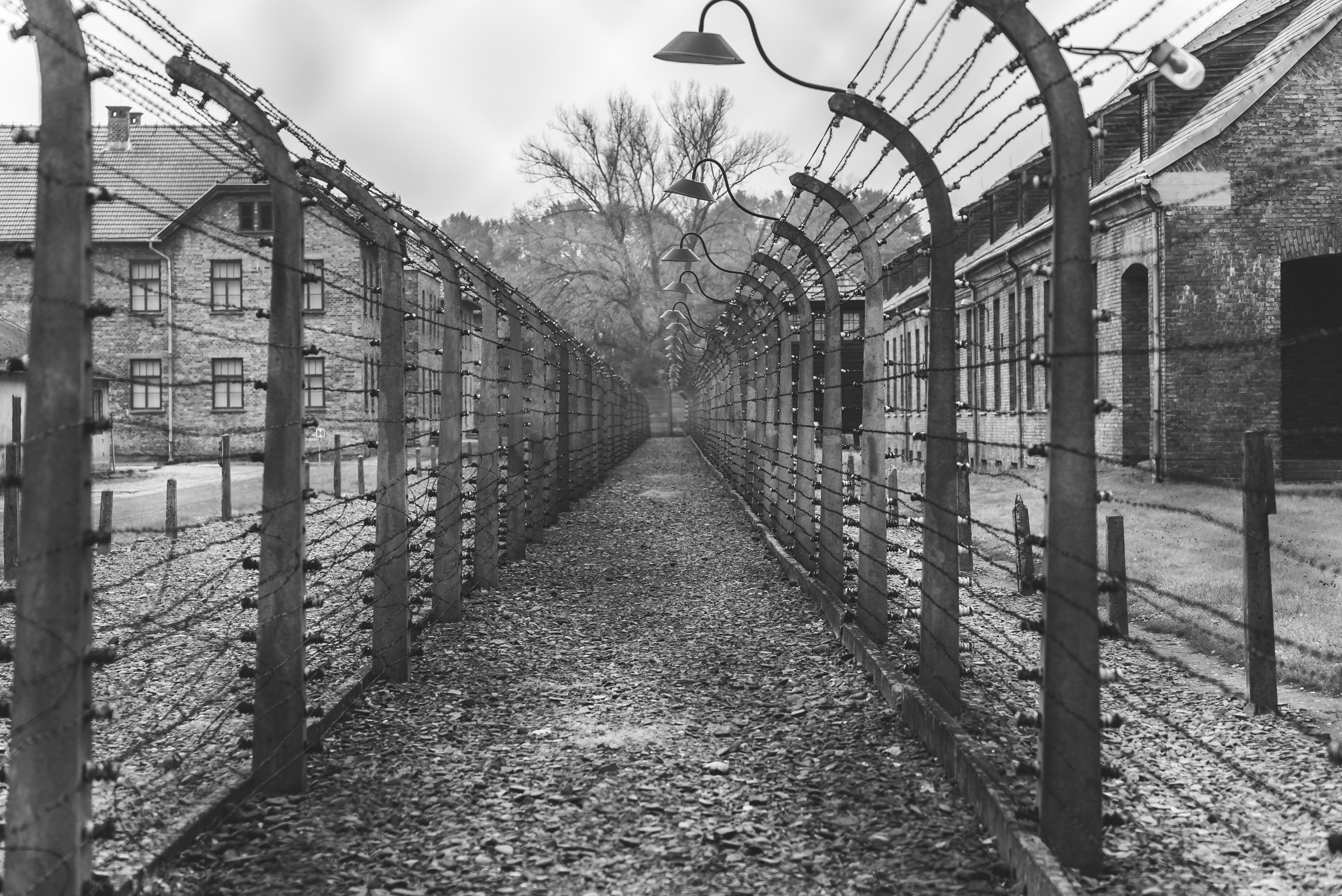 A poignant black and white photograph capturing a path amidst barbed wire fences in a concentration camp. Symbolizing confinement and resilience, the image speaks of the human spirit in the face of unimaginable adversity.