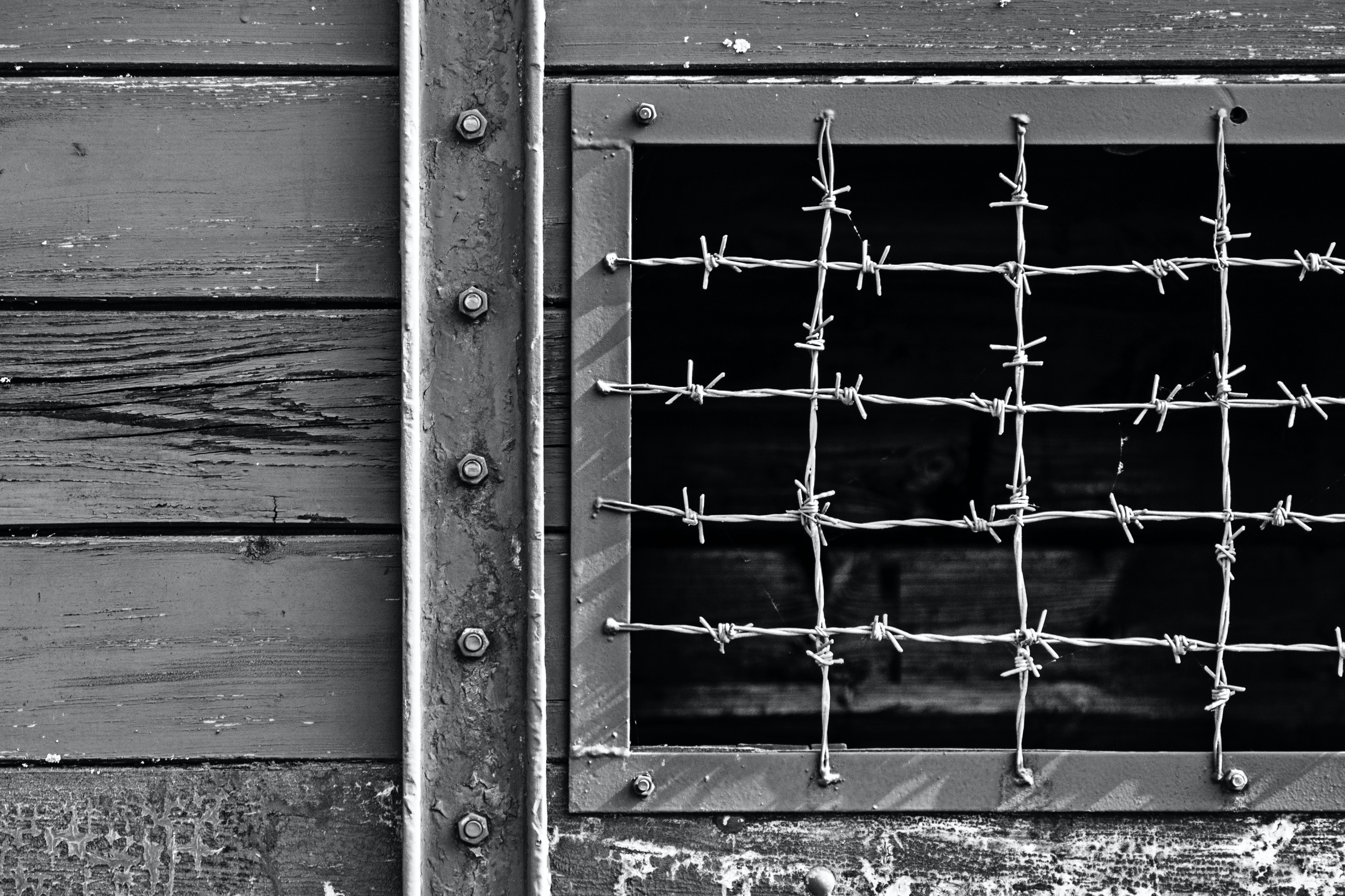 Black and white photograph of a wooden door with a barbed wire window, symbolizing confinement and restriction.